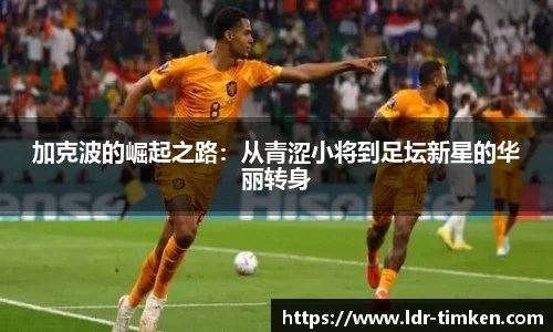 米兰官网