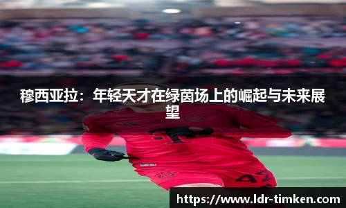 米兰体育官网