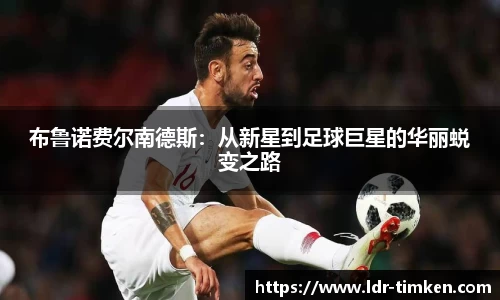 米兰体育官网