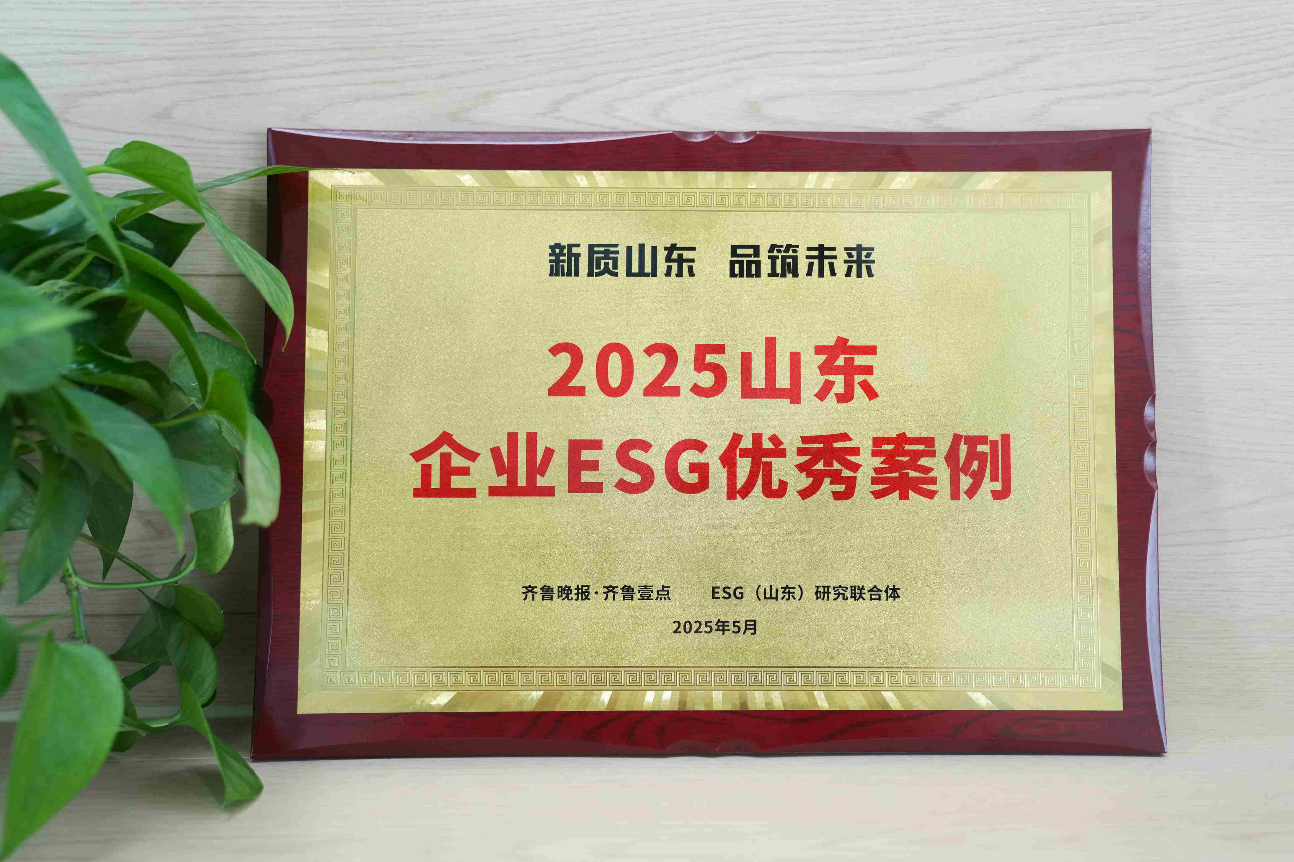 游艇会yth206医疗入选2025山东企业ESG优良案例